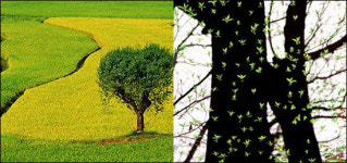 KIAF 참가 방송인 이상벽 사진으로 인생 2모작 행복합니다