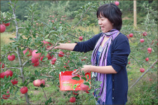 경북 청송, 신선의 고장 비경에 빠져볼까