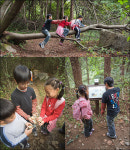 경북 영주, 죽령옛길 자연 탐방로로 재탄생