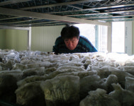 전원주택의 진화는 계속된다