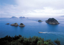 쪽빛 바다 위 아름다운 동백섬