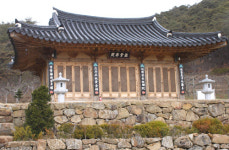  촬영한 산수유 마을