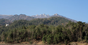 봄날 장흥 장천재에서 길을 잃다