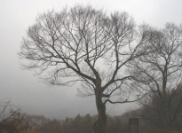 삼국시대 고성서 산책을 즐기다