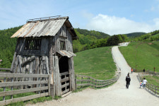초록 융단위 양떼를 쫓는 모험