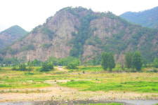 하천 생태계의 표본 가곡천서 여름나기