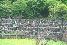 가을 단풍 숲이 고운 오지 마을
