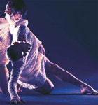 생태주의, 이상 넘어 현실문화로