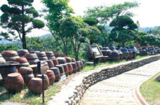 어머니의 장독대, 테마파크가 되다