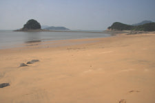 영화처럼 … 그들의 로맨스가 펼쳐진다