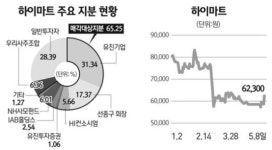 하이마트 인수전에 전자랜드 복병