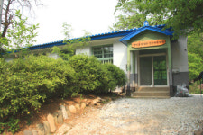 정선 동강 거북이마을, 시간이 멈춘 길 위에서 여유를 만나다