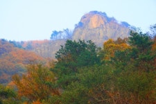 장성새재 옛길, 달도 숨은 고개에서 가을을 배웅하다