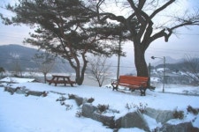 정읍 대장금 마실길, 대장금 고향에서 겨울의 참맛을 알다
