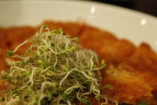 [이야기가 있는 맛집(83)] 팔도 명품 막걸리와 전설의 돈가스…