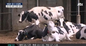 구원파 본산 금수원 내부 들여다보니