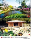 Sanbangsan Biwon: ‘secret garden’ in Geoje Island