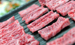 Carnivore’s paradise