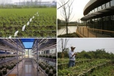 Amway opens botanical research center in China