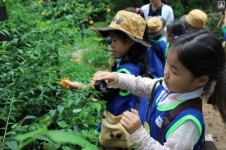 [Weekender] Kids go wild in ‘infant forests’