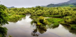 Panmunjom and DMZ’ highlights history of divided peninsula