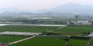Foreign land ownership here grows 3% in 2019