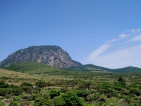 Wide open nature of Jeju offers solace for COVID-19 weary