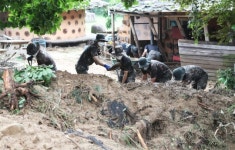 Death toll from heavy downpour rises to 14