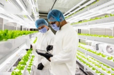N.Thing to export smart farms to UAE after $3 million deal