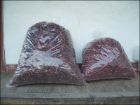 우리 마을은 지금 고추 전쟁 중