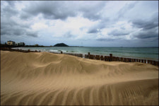 마음의 고향 종달리에 다시 서다