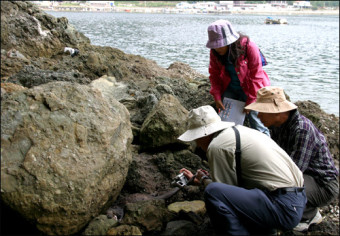천연기념물 수달, 마산 해안가 사체로 발견