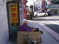 신세대는 좌판을 차려도 달라요