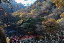 아홉 마리 용과 선녀와 나무꾼의 사랑 이야기