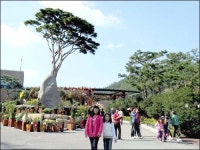 형형색색의 국화가 가을을 가을답게!!