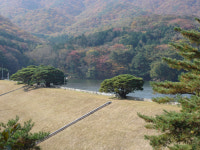 거목들의 별천지, 법기수원지를 아십니까?