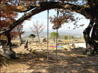 옛 공동체문화 ‘울력’은 살아있다