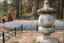 여행의 맛은 숨은 꽃 찾기에 있다
