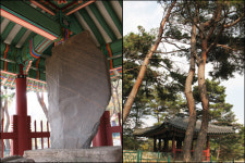 여행의 맛은 숨은 꽃 찾기에 있다