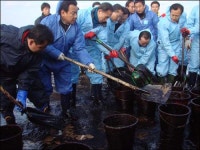 생각보다 피해 심각... 만리포 찾은 대선주자들