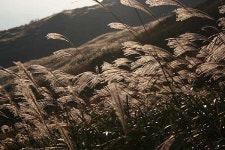 큰 불이 이는 뫼, 비사벌 화왕산성(火旺山城)