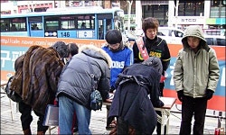 야구 팬들의 치열한 12시간... 6185명의 기적