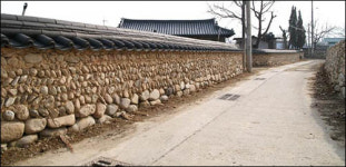 마을이 온통 낮은 돌담... 굽이굽이 포근해