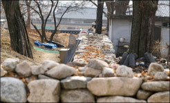 마을이 온통 낮은 돌담... 굽이굽이 포근해