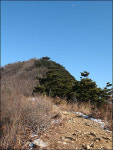 등산하는 닭을 보신 적 있으십니까?