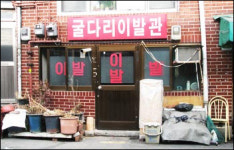 동네가 미술관, 계단에 꽃이 피고 새가 날아다니네