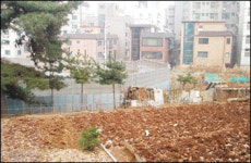 버려진 그 집의 주인은 아직도 미당 서정주