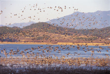 [포토] 큰고니들의 사랑과 전쟁