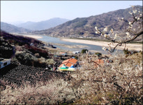 남도의 꽃빛이 초대한다