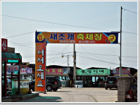 속살이 입안에서 사르르 녹는 남당리 새조개